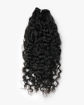 BURMESE CURLY