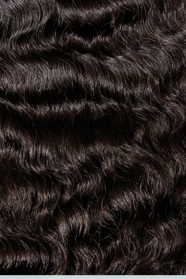 BURMESE CURLY