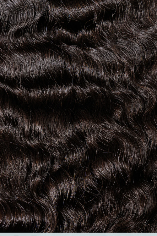 BURMESE CURLY